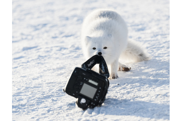 Michou von Beschwitz/Comedy Wildlife Photo Awards/Barcroft Images